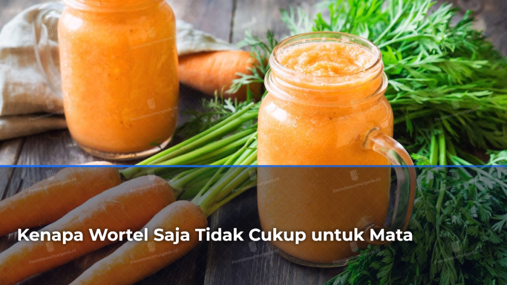 kenapa-wortel-saja-tidak-cukup-untuk-mata